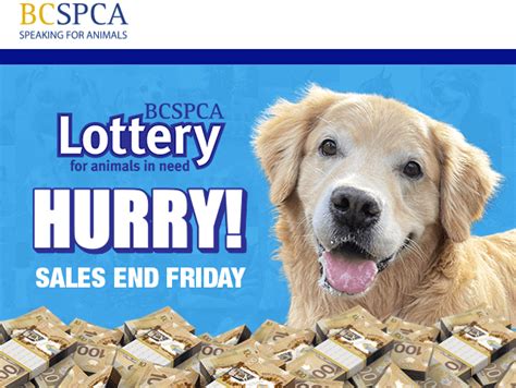 spca june lottery.